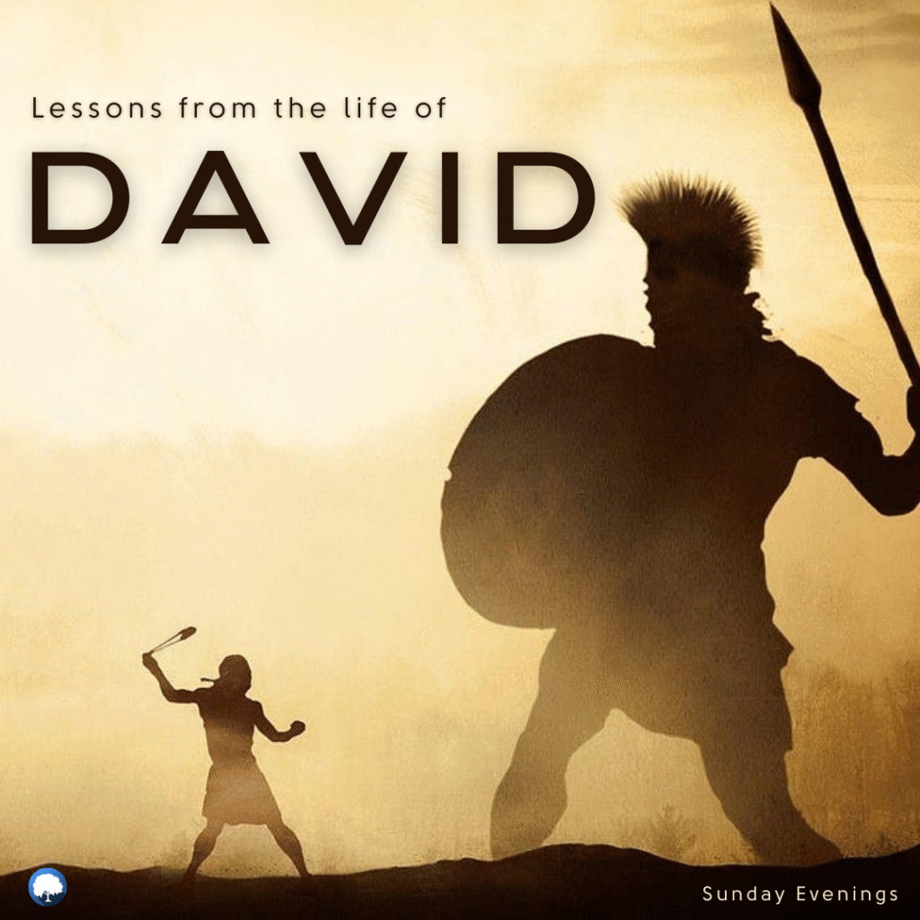 David website